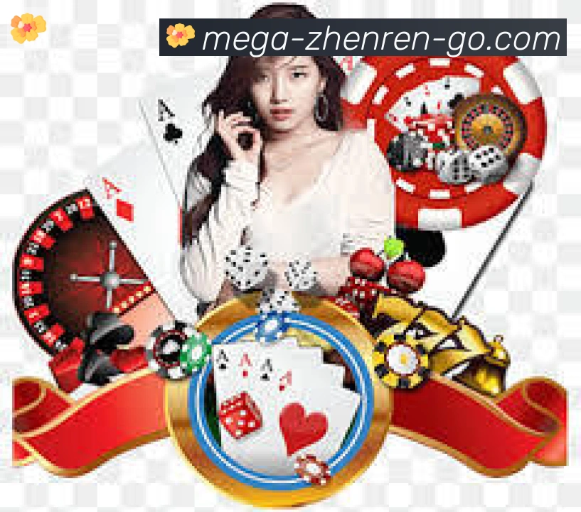 BB真人APP 封面图